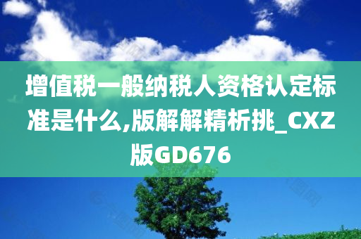 增值税一般纳税人资格认定标准是什么,版解解精析挑_CXZ版GD676