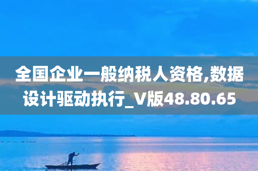 全国企业一般纳税人资格,数据设计驱动执行_V版48.80.65