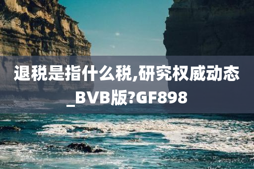 退税是指什么税,研究权威动态_BVB版?GF898