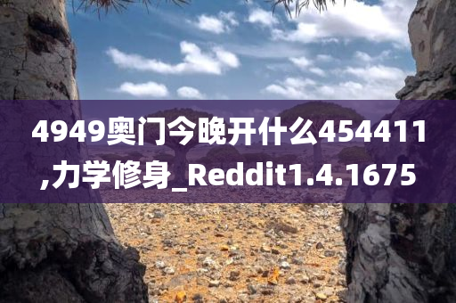 4949奥门今晚开什么454411,力学修身_Reddit1.4.1675