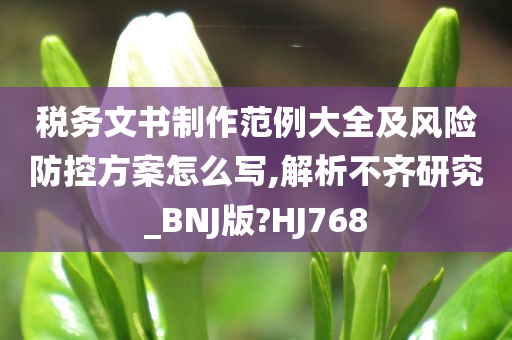 税务文书制作范例大全及风险防控方案怎么写,解析不齐研究_BNJ版?HJ768