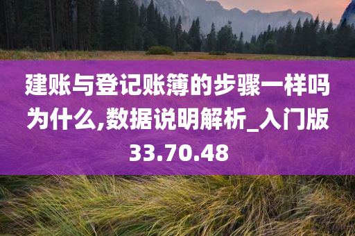 建账与登记账簿的步骤一样吗为什么,数据说明解析_入门版33.70.48