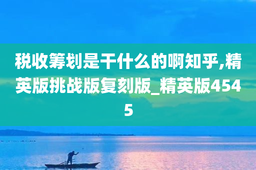 税收筹划是干什么的啊知乎,精英版挑战版复刻版_精英版4545