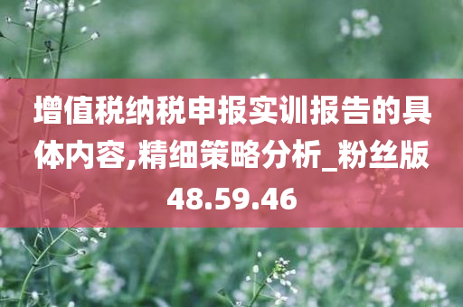 增值税纳税申报实训报告的具体内容,精细策略分析_粉丝版48.59.46