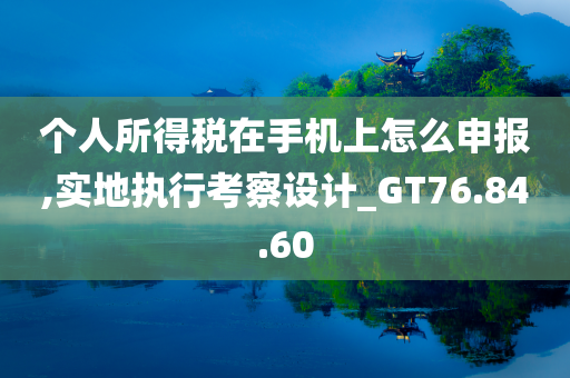 个人所得税在手机上怎么申报,实地执行考察设计_GT76.84.60