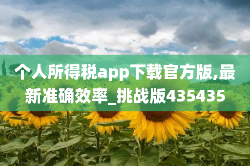 个人所得税app下载官方版,最新准确效率_挑战版435435