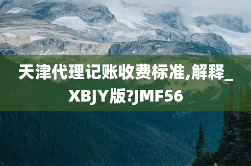 天津代理记账收费标准,解释_XBJY版?JMF56