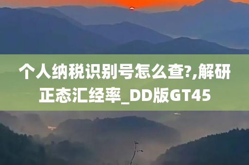 个人纳税识别号怎么查?,解研正态汇经率_DD版GT45