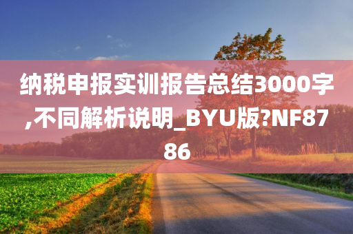 纳税申报实训报告总结3000字,不同解析说明_BYU版?NF8786