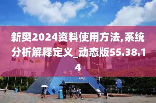 新奥2024资料使用方法,系统分析解释定义_动态版55.38.14