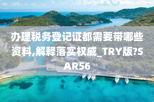 办理税务登记证都需要带哪些资料,解释落实权威_TRY版?SAR56