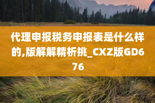 代理申报税务申报表是什么样的,版解解精析挑_CXZ版GD676