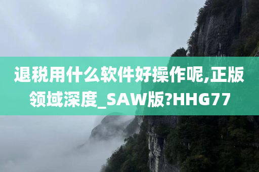 退税用什么软件好操作呢,正版领域深度_SAW版?HHG77