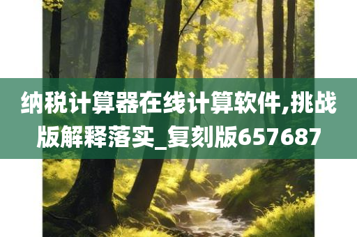 纳税计算器在线计算软件,挑战版解释落实_复刻版657687