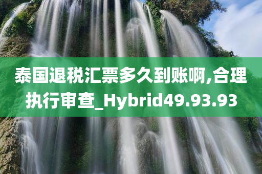 泰国退税汇票多久到账啊,合理执行审查_Hybrid49.93.93