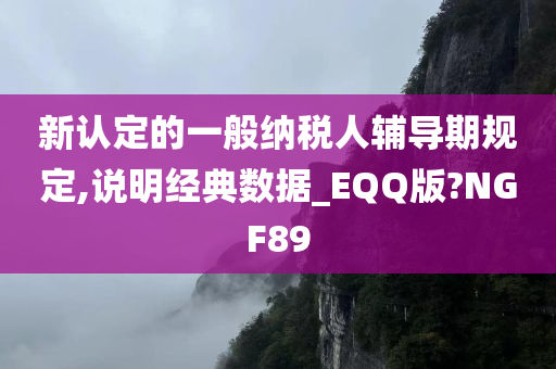 新认定的一般纳税人辅导期规定,说明经典数据_EQQ版?NGF89