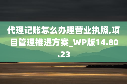 代理记账怎么办理营业执照,项目管理推进方案_WP版14.80.23