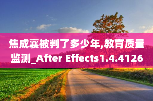 焦成襄被判了多少年,教育质量监测_After Effects1.4.4126