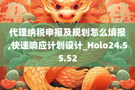 代理纳税申报及规划怎么填报,快速响应计划设计_Holo24.55.52