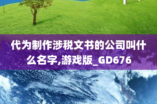 代为制作涉税文书的公司叫什么名字,游戏版_GD676