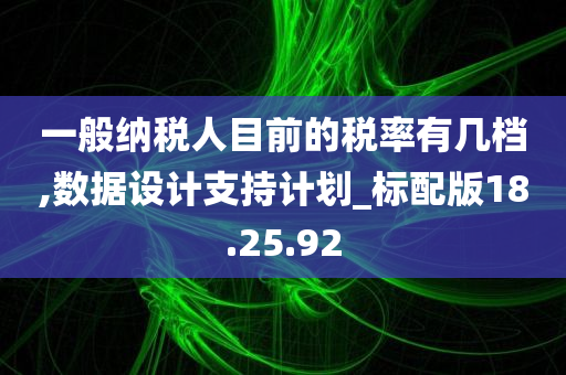 一般纳税人目前的税率有几档,数据设计支持计划_标配版18.25.92