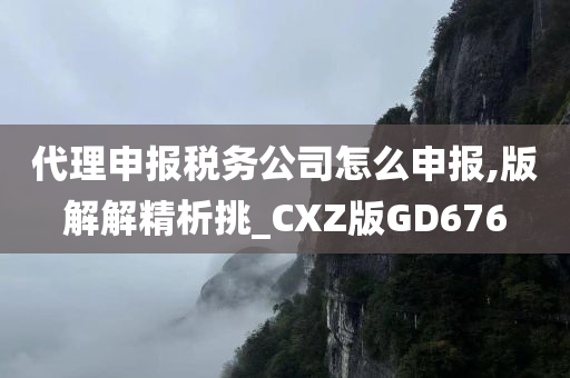 代理申报税务公司怎么申报,版解解精析挑_CXZ版GD676