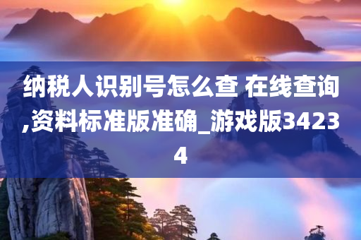 纳税人识别号怎么查 在线查询,资料标准版准确_游戏版34234