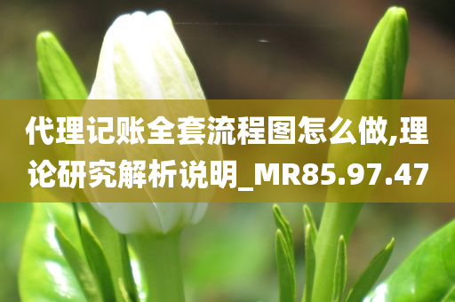 代理记账全套流程图怎么做,理论研究解析说明_MR85.97.47