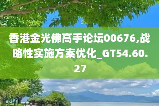 香港金光佛高手论坛00676,战略性实施方案优化_GT54.60.27