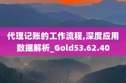 代理记账的工作流程,深度应用数据解析_Gold53.62.40