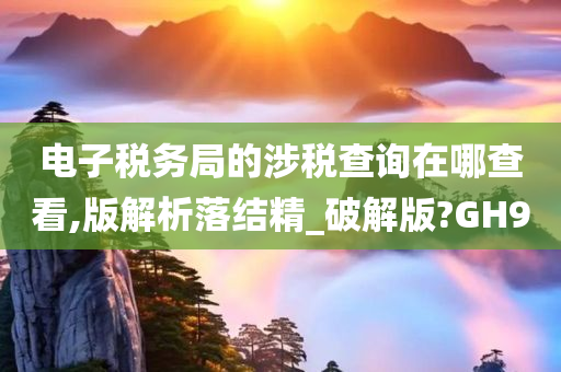 电子税务局的涉税查询在哪查看,版解析落结精_破解版?GH9