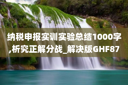 纳税申报实训实验总结1000字,析究正解分战_解决版GHF87