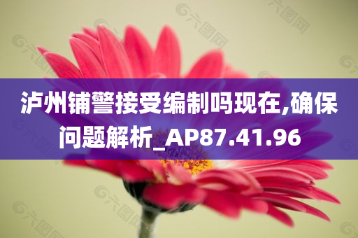 泸州铺警接受编制吗现在,确保问题解析_AP87.41.96