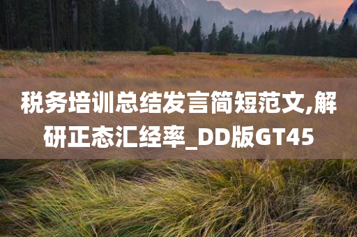 税务培训总结发言简短范文,解研正态汇经率_DD版GT45