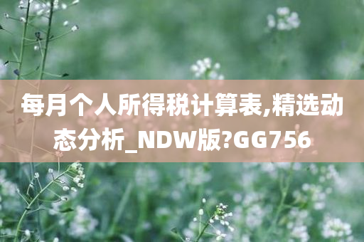 每月个人所得税计算表,精选动态分析_NDW版?GG756