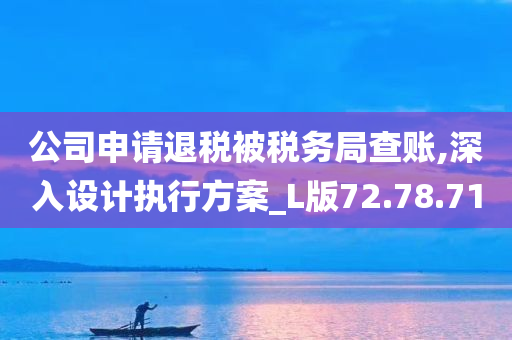 公司申请退税被税务局查账,深入设计执行方案_L版72.78.71