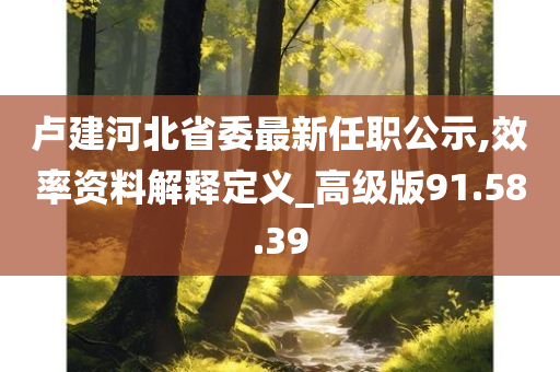 卢建河北省委最新任职公示,效率资料解释定义_高级版91.58.39