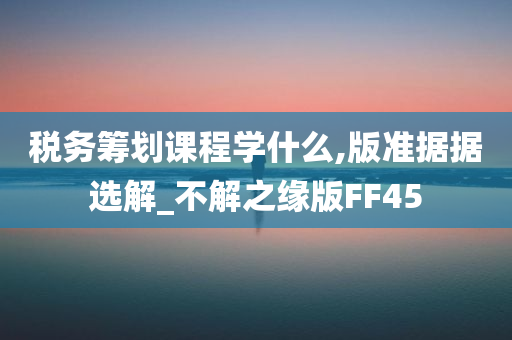 税务筹划课程学什么,版准据据选解_不解之缘版FF45