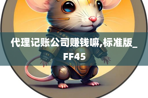 代理记账公司赚钱嘛,标准版_FF45