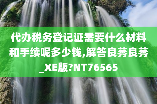 代办税务登记证需要什么材料和手续呢多少钱,解答良莠良莠_XE版?NT76565