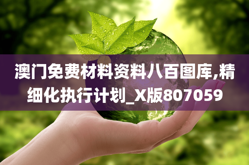 澳门免费材料资料八百图库,精细化执行计划_X版807059