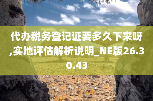 代办税务登记证要多久下来呀,实地评估解析说明_NE版26.30.43