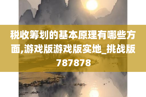 税收筹划的基本原理有哪些方面,游戏版游戏版实地_挑战版787878