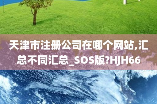 天津市注册公司在哪个网站,汇总不同汇总_SOS版?HJH66