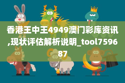 香港王中王4949澳门彩库资讯,现状评估解析说明_tool759687