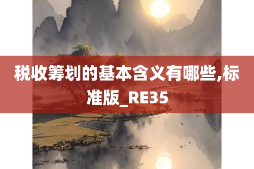 税收筹划的基本含义有哪些,标准版_RE35