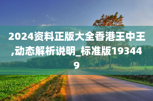 2024资料正版大全香港王中王,动态解析说明_标准版193449