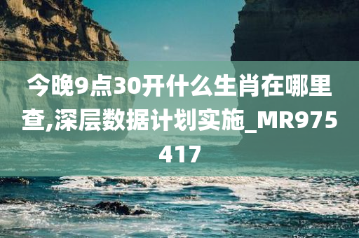 今晚9点30开什么生肖在哪里查,深层数据计划实施_MR975417