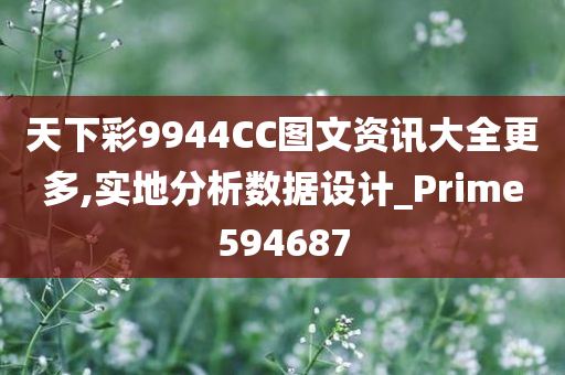 天下彩9944CC图文资讯大全更多,实地分析数据设计_Prime594687