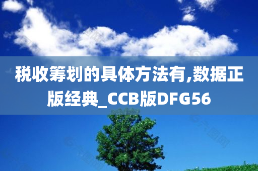 税收筹划的具体方法有,数据正版经典_CCB版DFG56